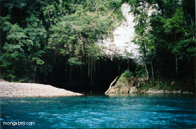Belize Clearwater Creek