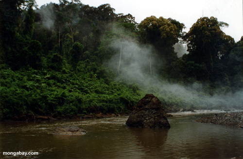 Borneo Fluß