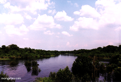 Lago Brazil Oxbow