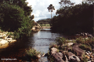 Crique De Blackwater, Venezuela