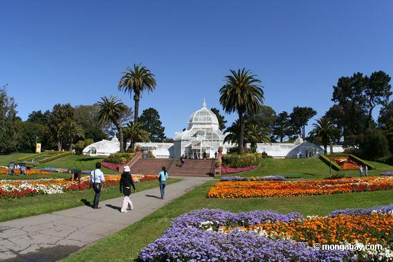 This photo was taken at the San Francisco Conservatory of Flowers in Golden 