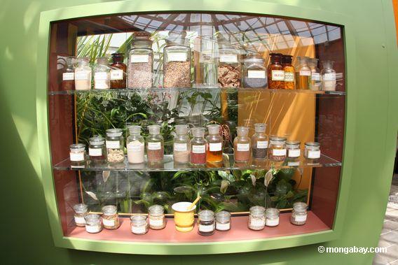 Plant-derived medications. (Photo by R. Butler)