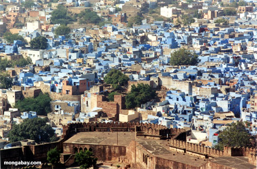 Edifícios azuis, Jodhpur, India