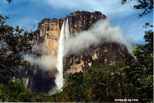 Angel Falls