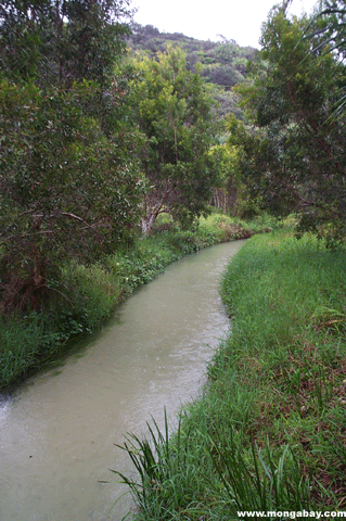 Creek de Eli