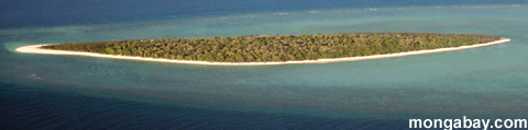 Барьерный Риф острова