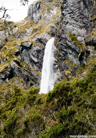 ニュージーランドの滝