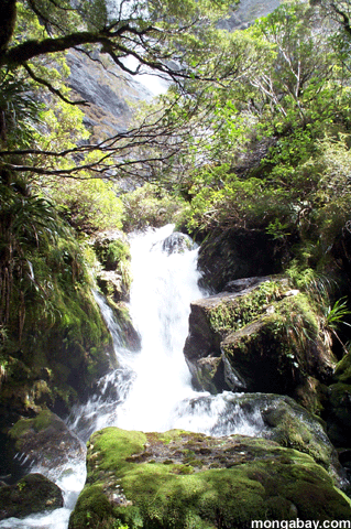 Wasserfall senken