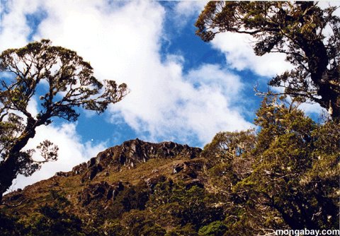 горный пик в Новой Зеландии