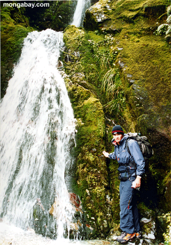 moosiger Wasserfall