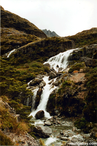 routeburn滝