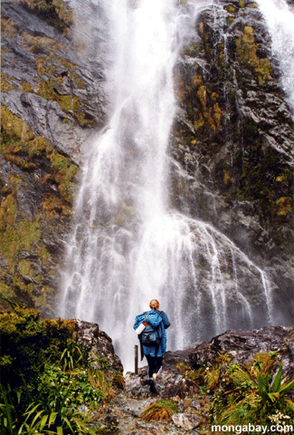 Девочка перед водопадом в Новой Зеландии