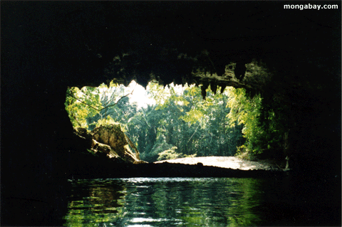 Caverne de patte de jaguar