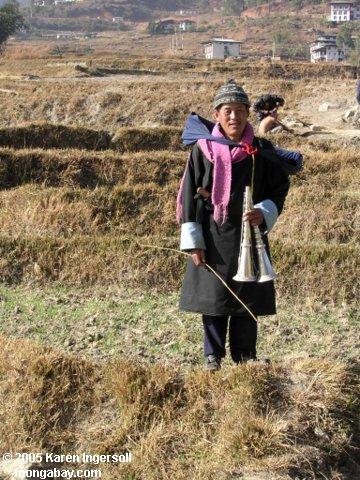 Женщина в рисовом поле