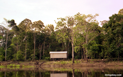 Amazonisches Haus