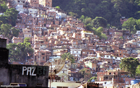 Río Favela