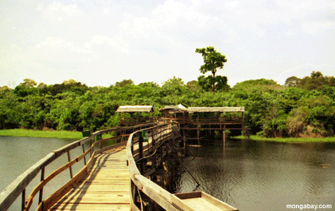 Raised Walkway River, Brazil