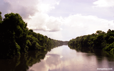 River Reflection, Brazil