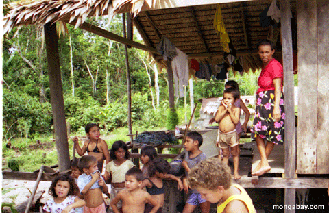 Amazonisch childen