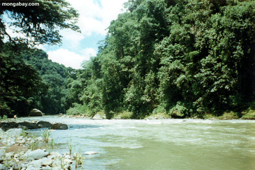 Pacuare river [cr_river_02]