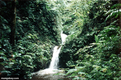 Mountain creek [cr_waterfall]