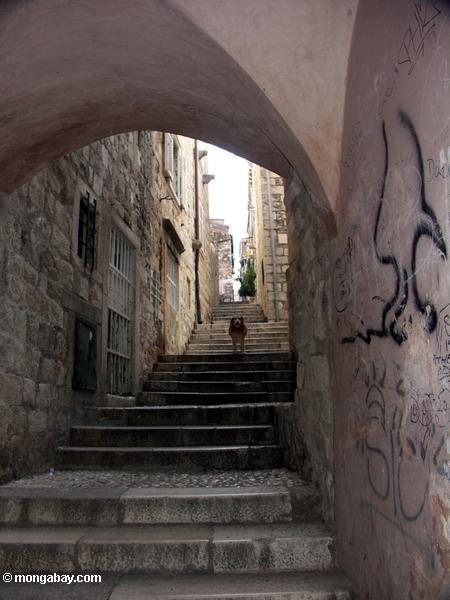 Escaleras en la vieja ciudad (Grad) de Dubrovnik