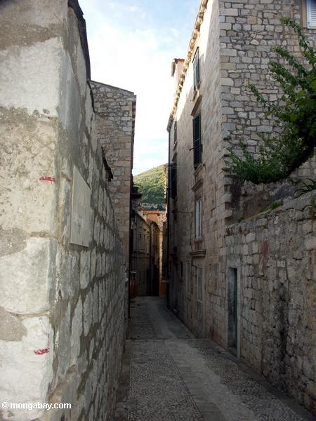 Ruelle dans la vieille ville (diplômé) de Dubrovnik