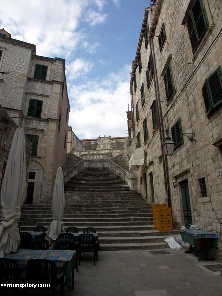 Vieille ville (diplômé) de Dubrovnik