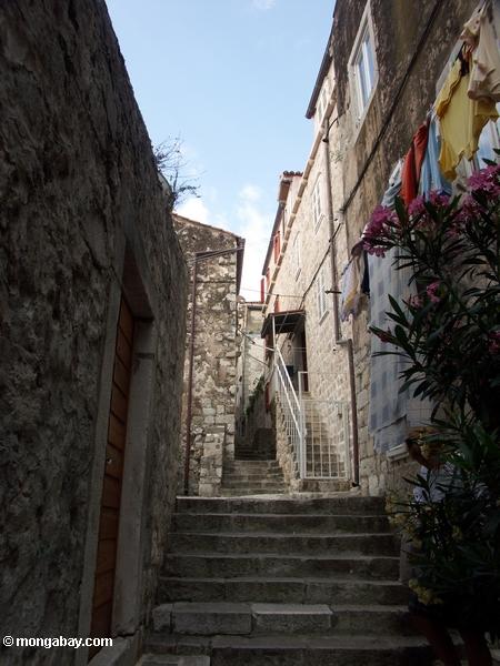 Vieille ville (diplômé) de Dubrovnik