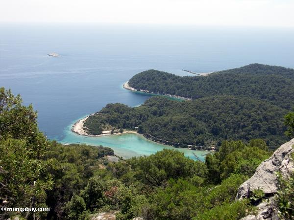 地中海の景色をムリェト島の島