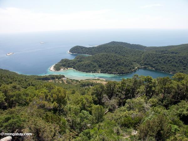 地中海の景色をムリェト島の島