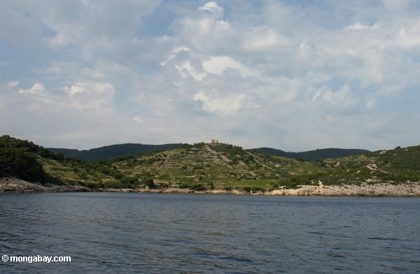 城の遺跡の近くviška luka