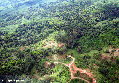 Deforestation in the Amazon Rainforest