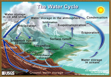 water cycle for kids. Diagram of the water cycle