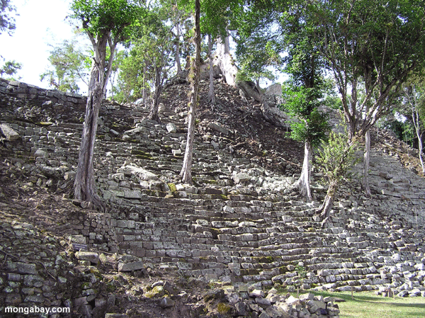 Copan, ruínas Mayan em Honduras
