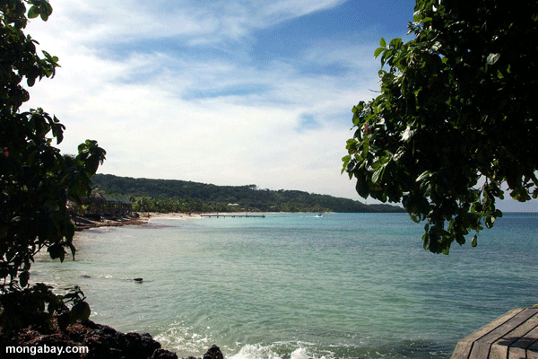 Roatan пляж