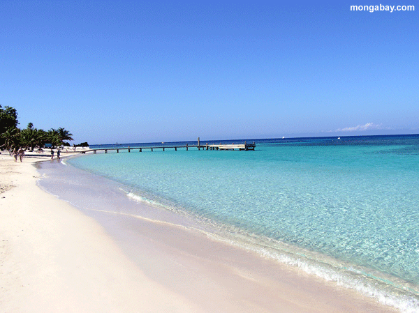 Roatan пляж