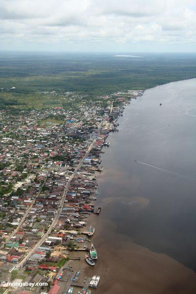 La vision aerea vira hacia el lado de babor en el rio de Kumai en Kalimantan