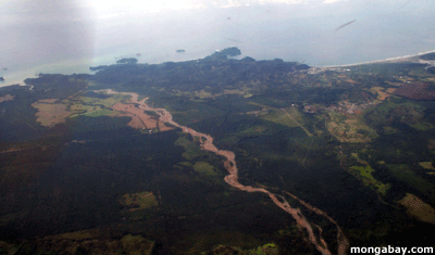 Manuel antonio national park