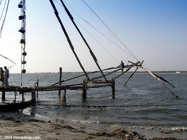 Las redes de pesca acercan a Cochin