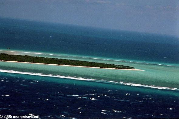 Island on the Great Barrier Reef, Australia