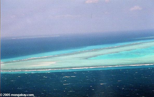 Great Barrier Reef aerial, Australia