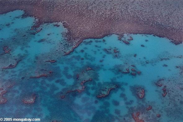 Большой Барьерный риф коралловый