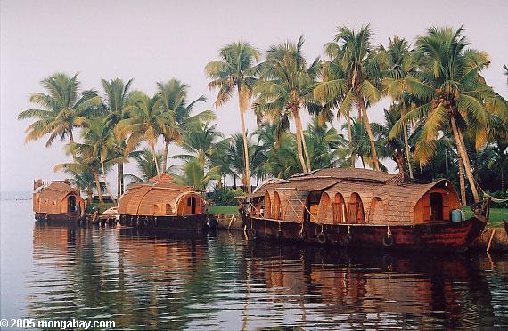 Backwaters near Kerala, India