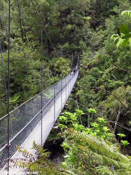 Rope bridge, Abel Tasman, New Zealand