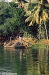 Backwaters near Kerala
