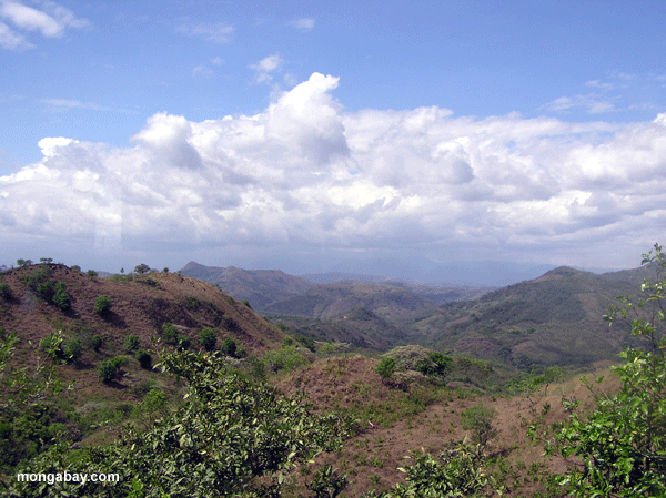 Panama Deforestation
