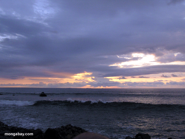Ocean Sunset, Panama