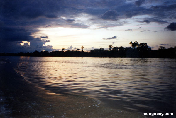 Sonnenuntergang über dem Rio Napo 