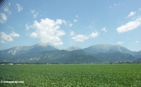 Сельская местность между словенской Любляны и озеро Блед